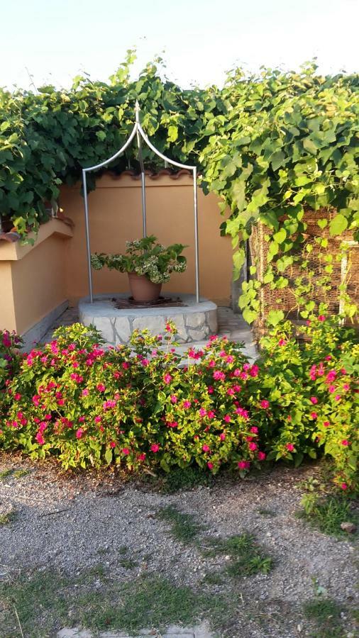 Apartman Jadranka Palit Экстерьер фото
